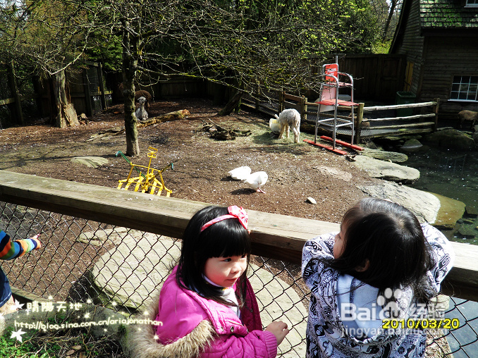 拾海的孩子&亲亲小动物(组图)