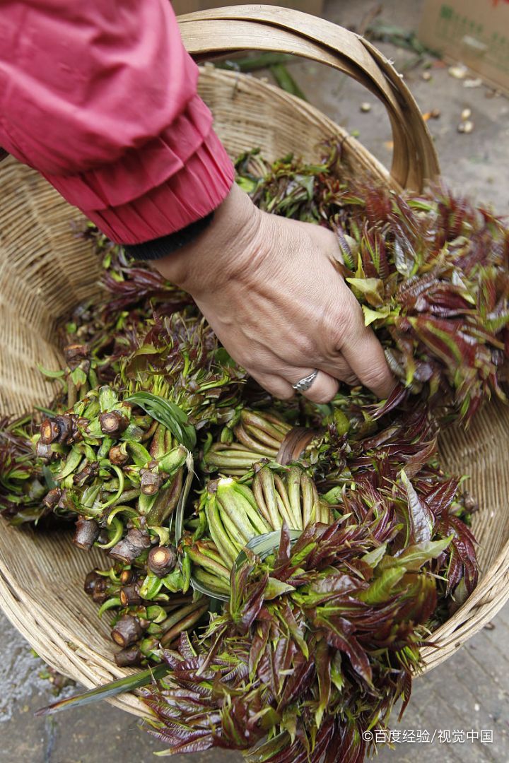 狗丁牙野菜的功效