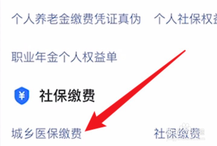 怎么在手机上缴纳个人医保