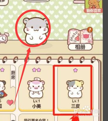 仓鼠公寓仓鼠怎样才算配对成功#校园分享