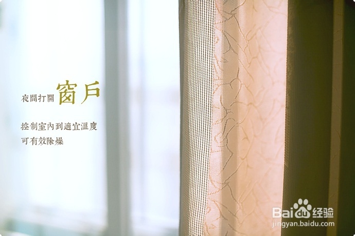 秋冬室内去燥,最简单五招