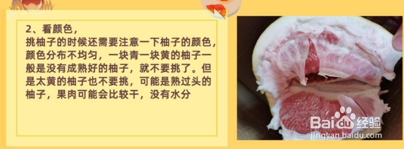 柚子怎样挑才可以挑到好吃的柚子