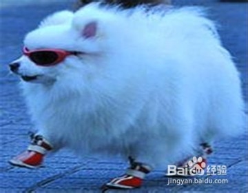 遇见混混怎么办？