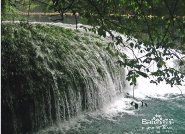 旅游时灌木林穿越知识