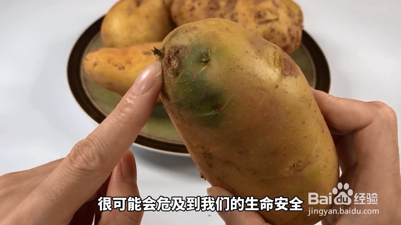 发芽土豆含有有毒的龙葵碱，即使切了也不能吃哦