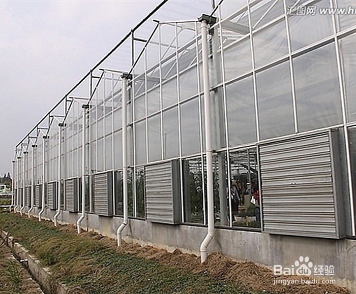 怎么给温室大棚通风？