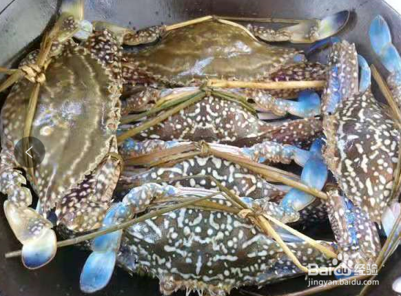 啤酒螃蟹的做法