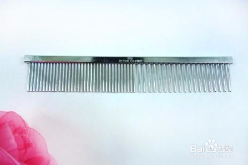 冬季狗狗穿衣服容易打结怎么办