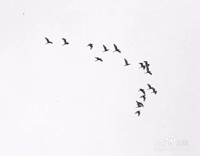 教你如何拍出简单,但是大气上档次的照片