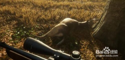 猎人荒野的呼唤攻略 百度经验