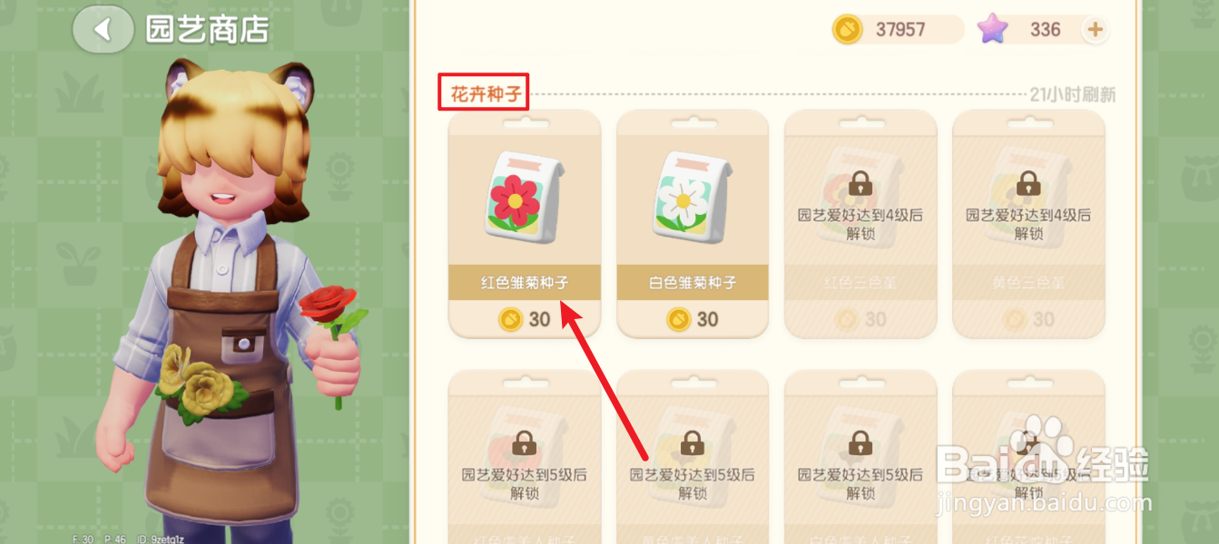 心动小镇红色雏菊种子怎么购买