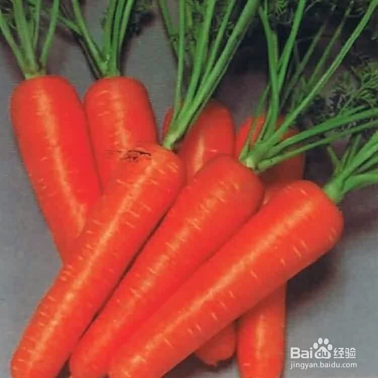 每天都要吃这儿几种食物对身体有好处