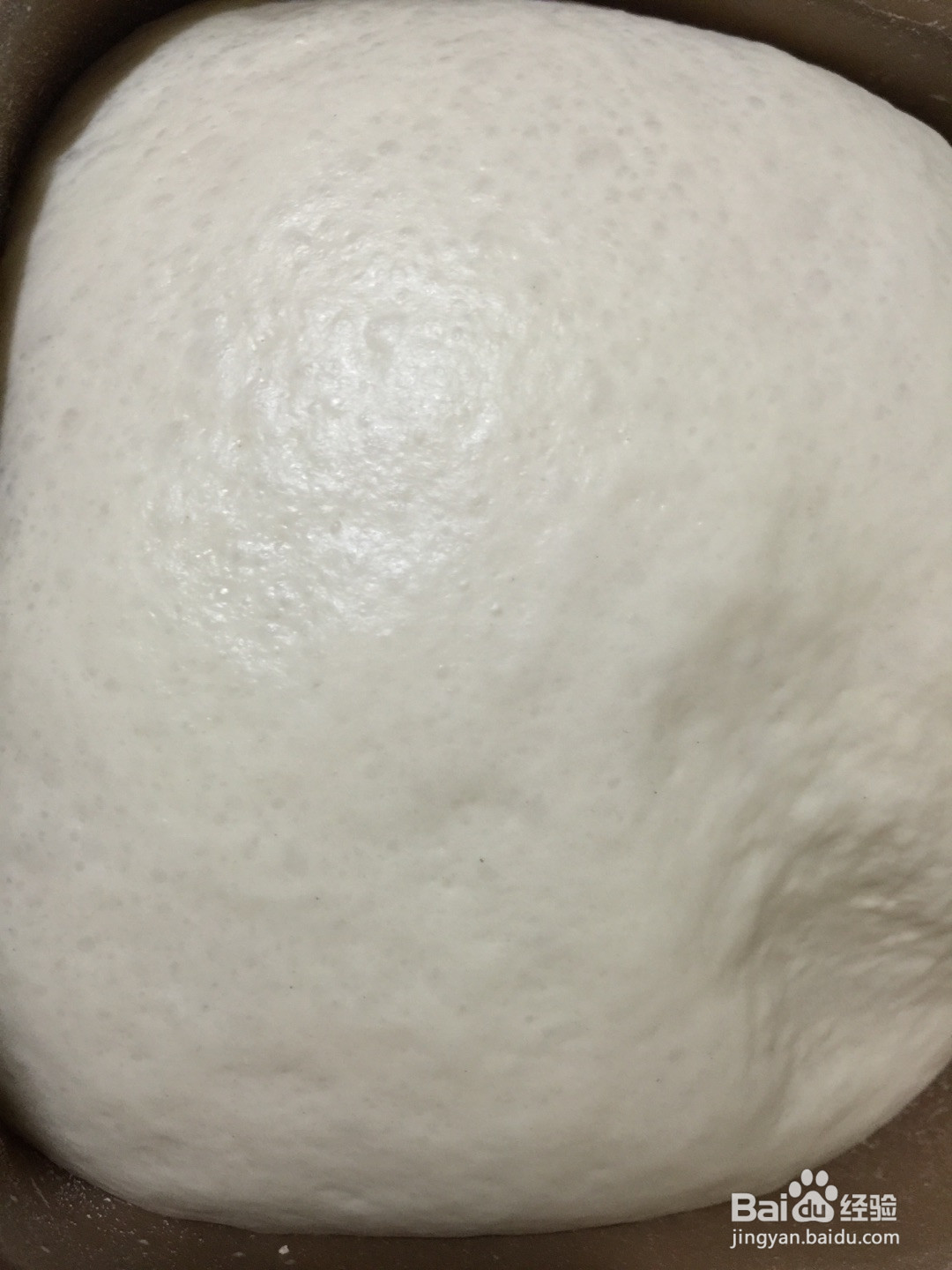 金枪鱼午餐肉披萨的做法