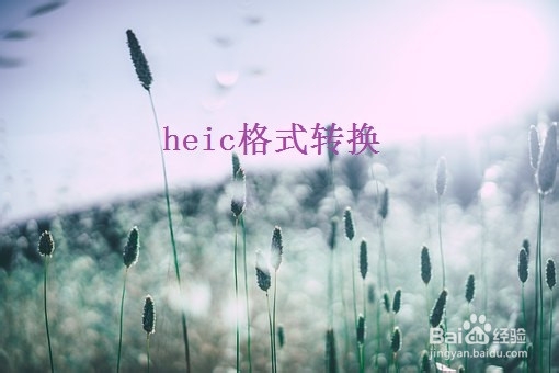 heic格式怎么在电脑中打开