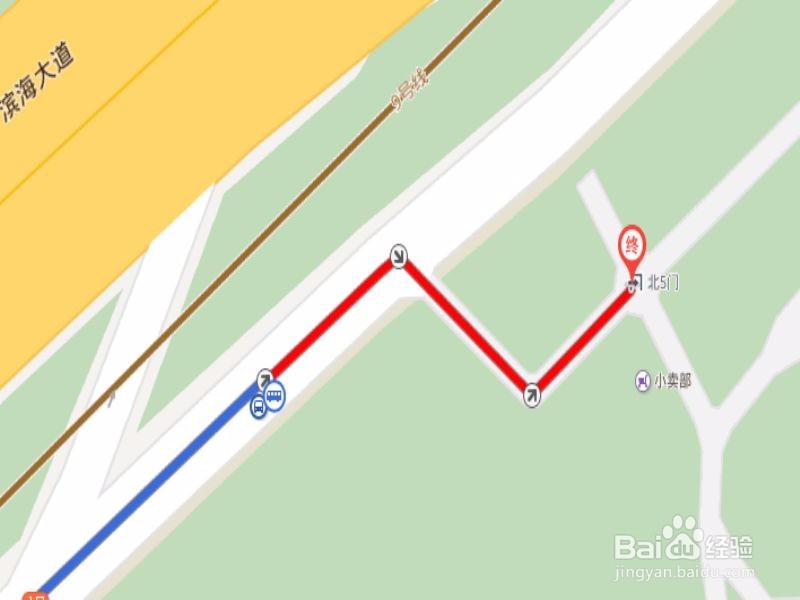 深圳红树林怎么走