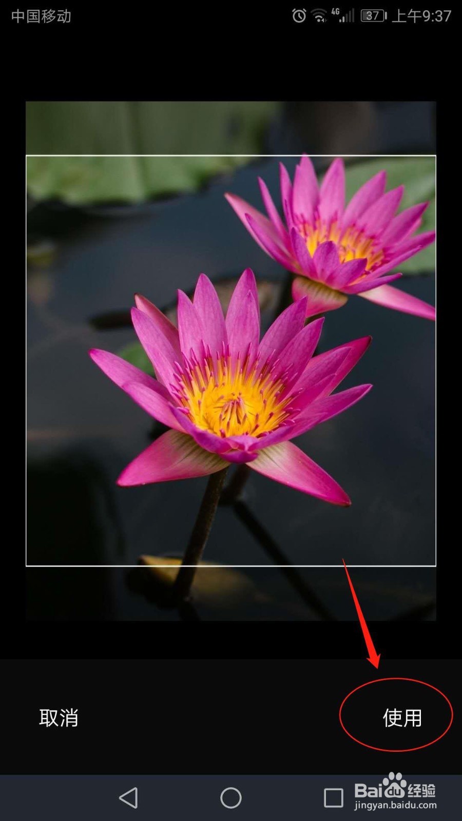 手机企业微信怎么更换头像