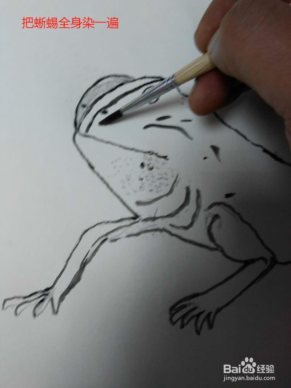 水彩画沙漠蜥蜴的画法