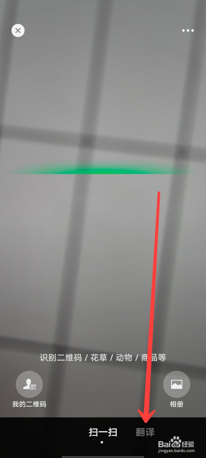 微信的翻译功能在哪里