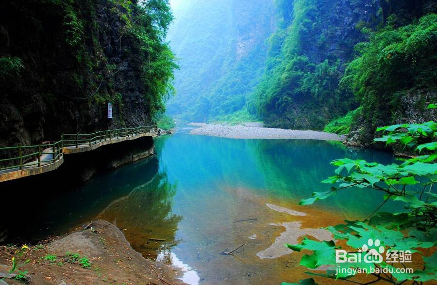 到重庆旅游下雨怎么办