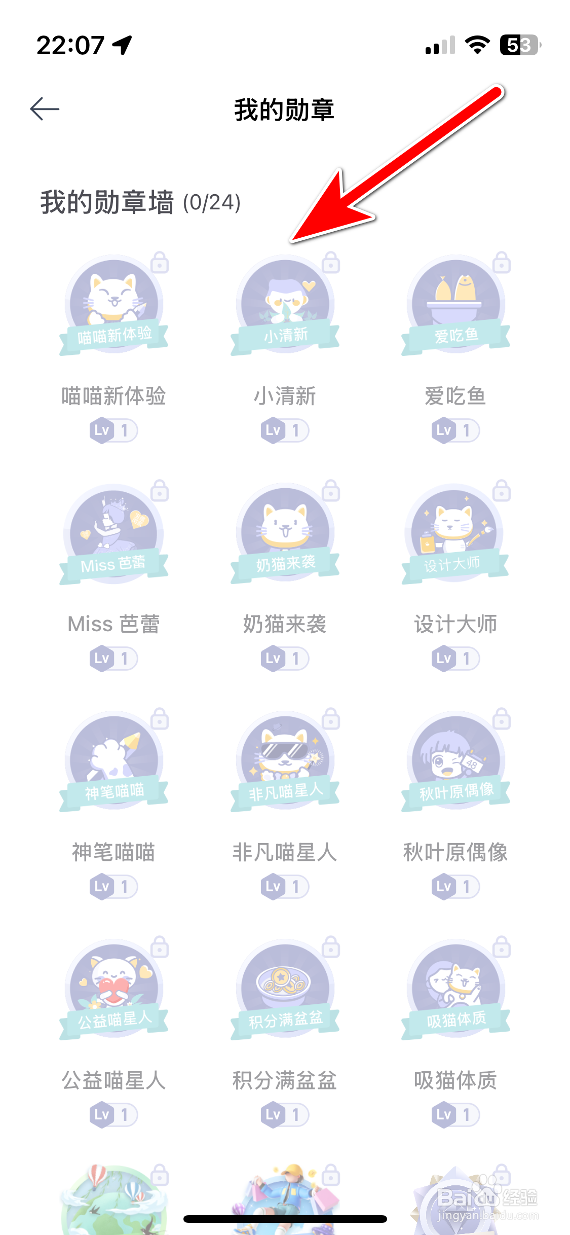 欧拉ORA如何查看我的勋章墙