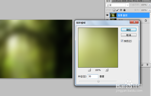 ps如何制作柔焦照片效果?
