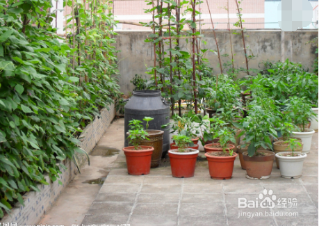 顶楼夏天很热怎么办?