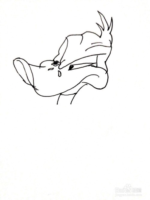 兔八哥系列之达菲鸭简笔画