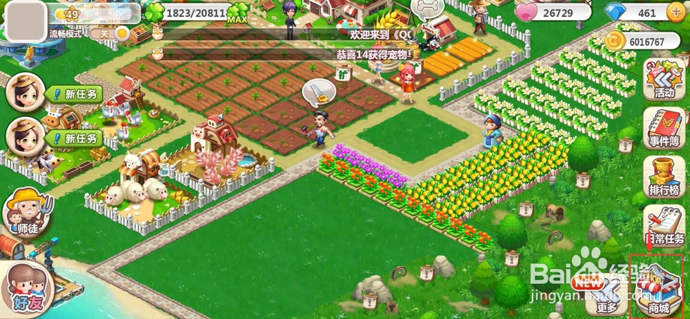 怎样购买植物向日葵？