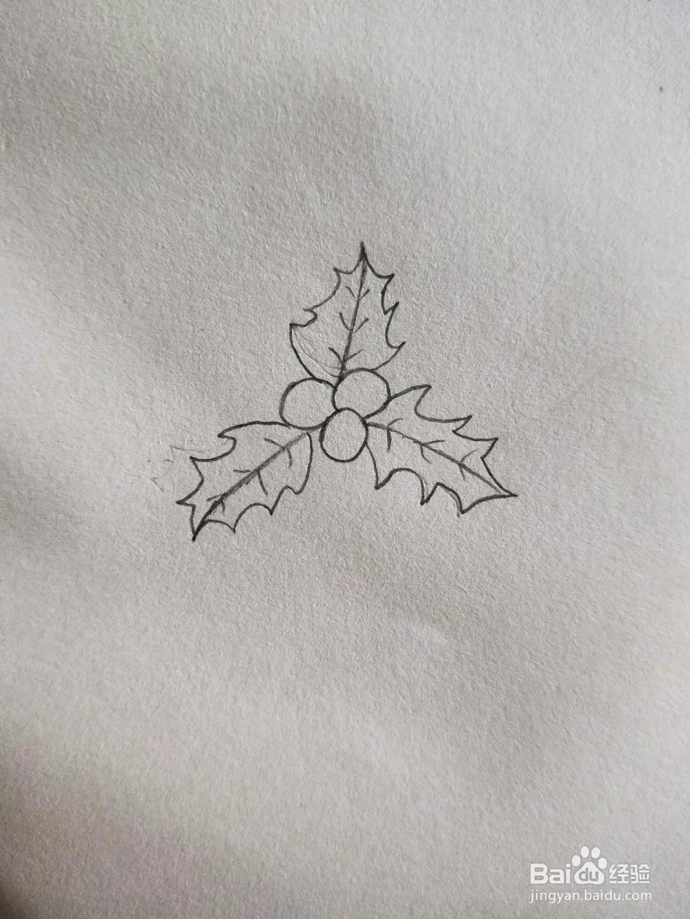 简笔画-怎样画山楂球