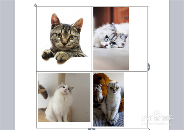 word里如何把图片排版规整