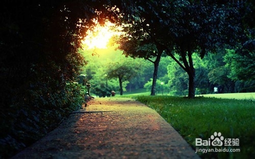 如何避免蚊子叮咬