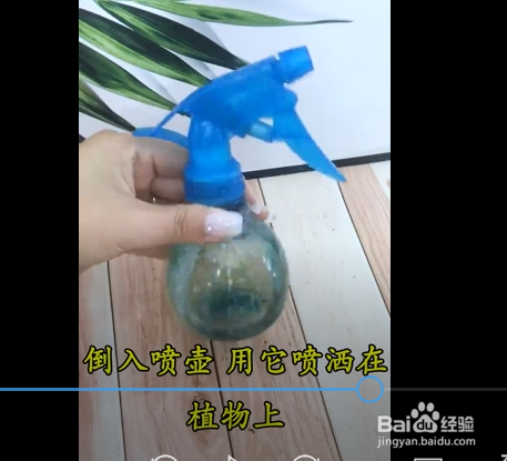 植物变黄了怎么办呢？