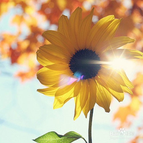 怎么样变成一个特别“会说话的人”