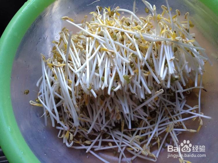 如何发纯正的绿豆豆芽更健康
