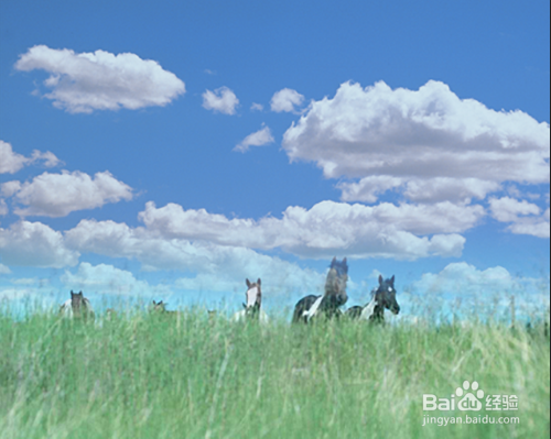 PS如何在通道中存储和应用选区