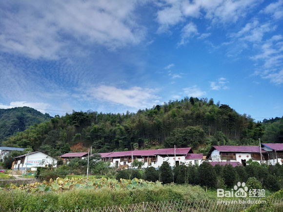 美图手机V4效果图