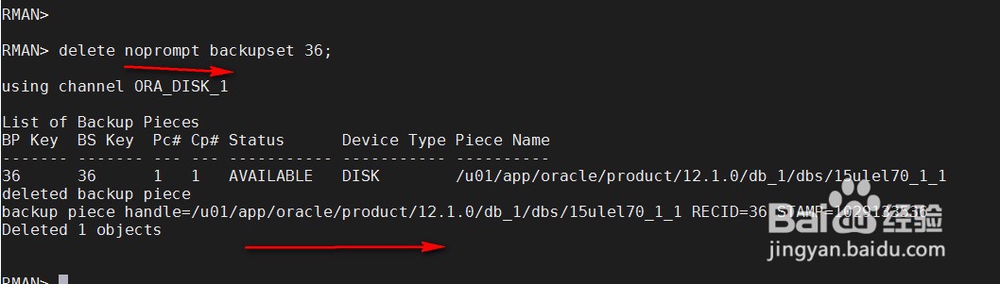 RMAN备份PLUS与INCLUDE和NOPROMPT还有input用法