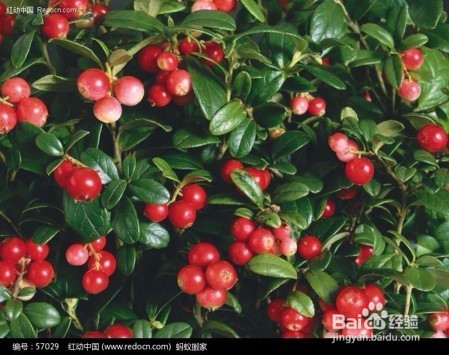 你真的懂得养生之道吗