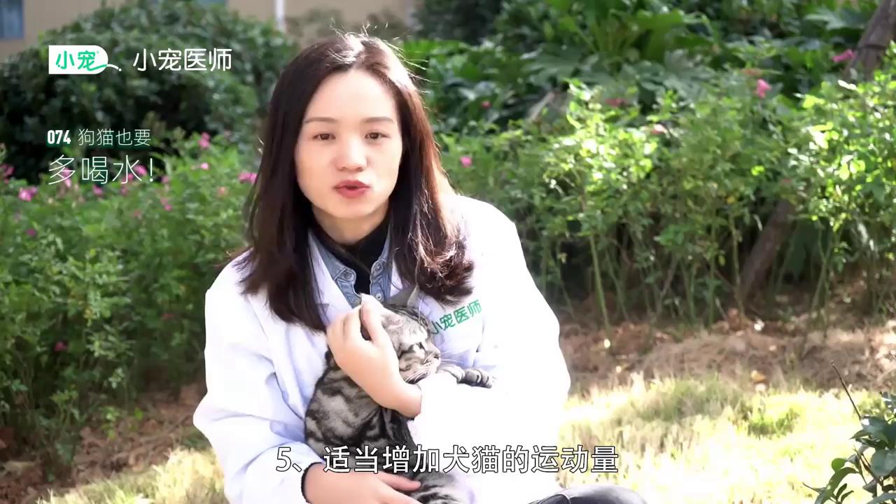 如何让狗猫多喝水？