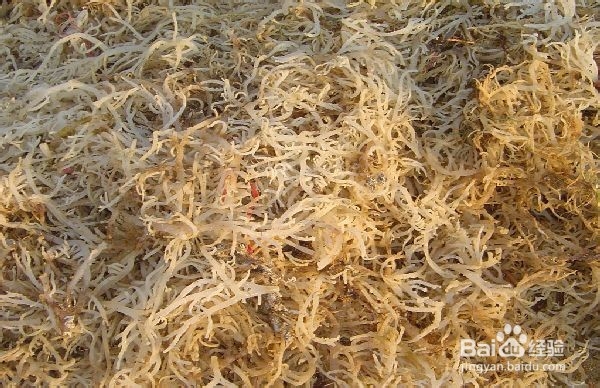 去除黄褐斑的简单方法