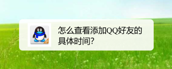 怎么查看添加QQ好友的具体时间