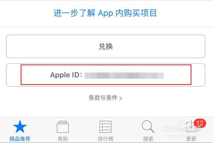 怎样查看苹果iPhone手机Apple ID?