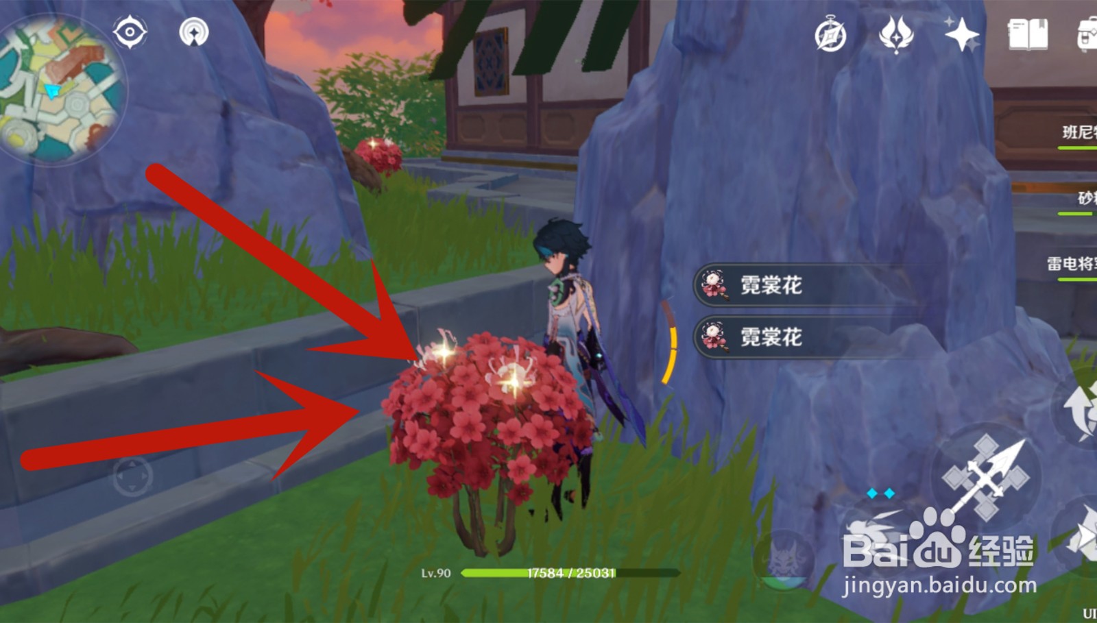 璃月霓裳花位置