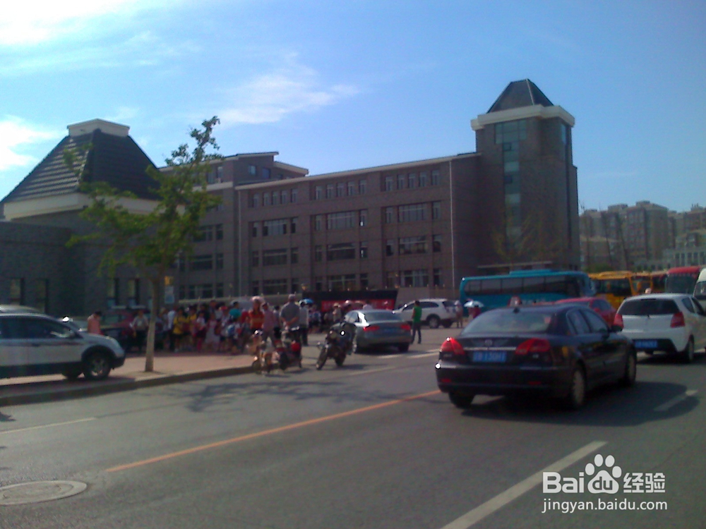 怎样告诉孩子安全过马路--4