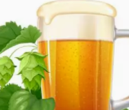 啤酒的功效与作用
