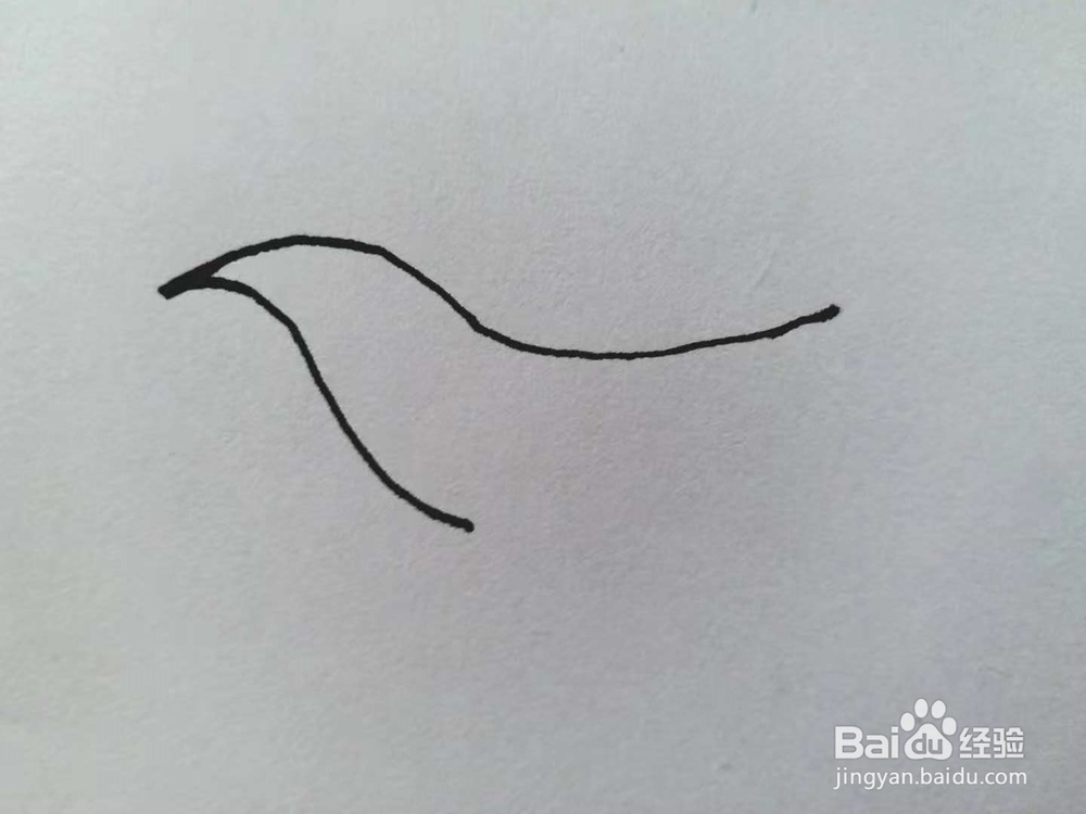 鸟的简笔画法《一》