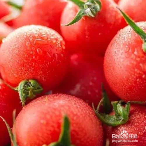 西红柿为什么不能放冰箱里