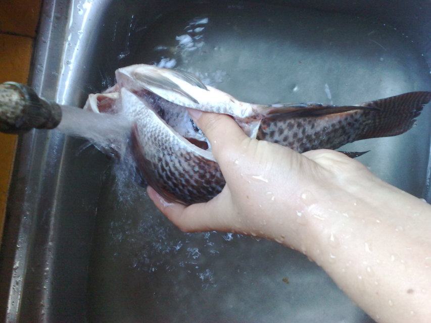 清蒸罗非鱼这样做更好吃！