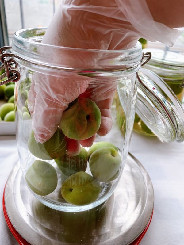 春日私酿-青梅酒