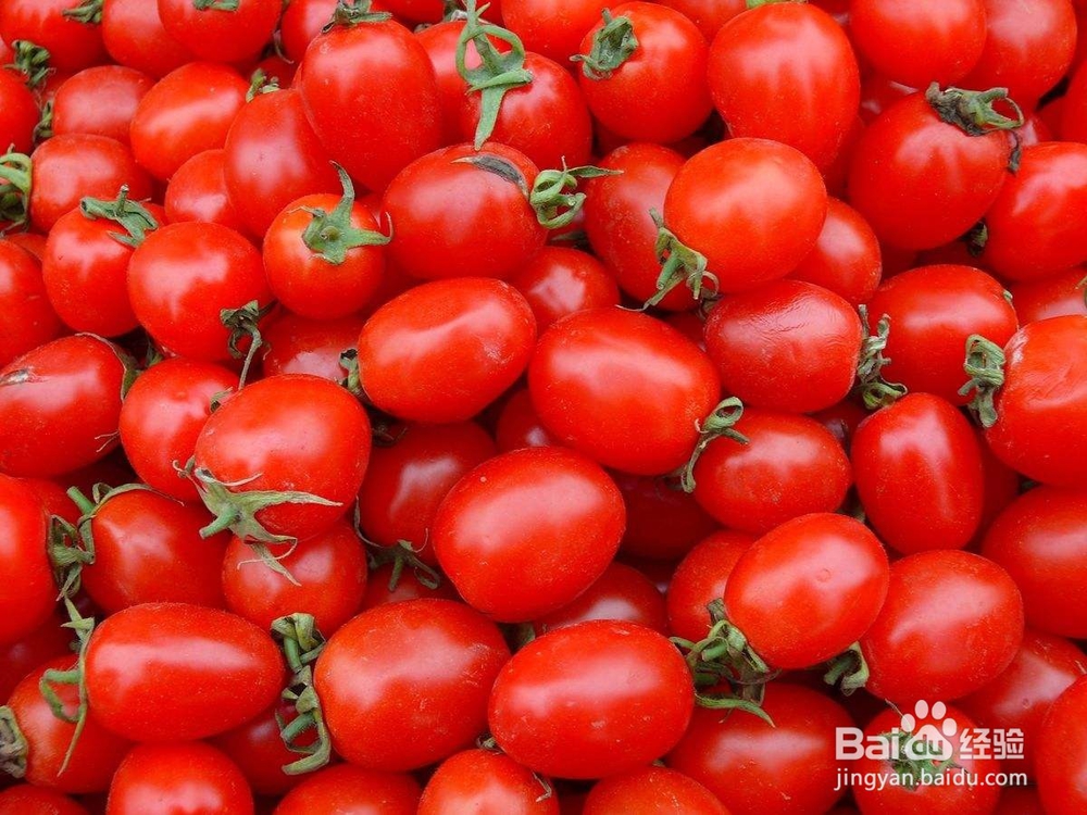 农伯汇教你怎样运营农产品